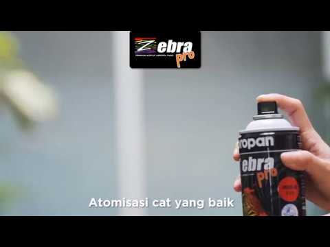 Detail Zebra Graffiti Propan Nomer 33