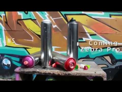 Detail Zebra Graffiti Propan Nomer 40