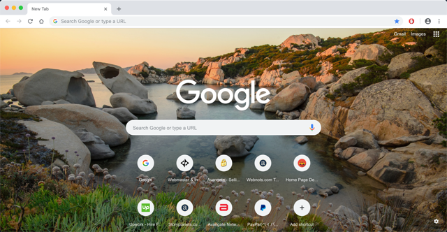 Detail Google Chrome Image Nomer 52