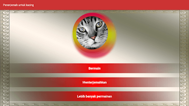 Detail Google Gambar Kucing Nomer 31