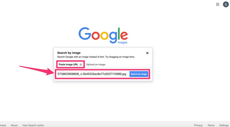 Detail Google Gambar Search Nomer 2