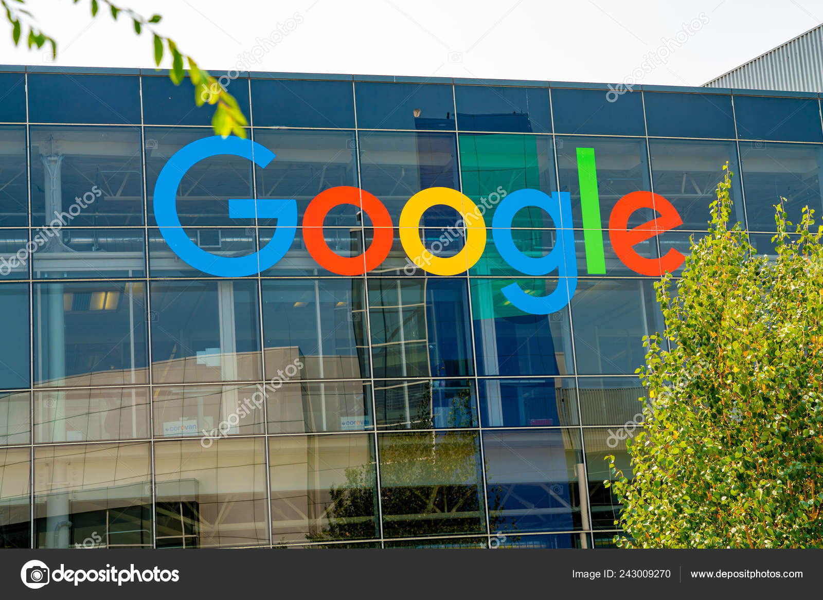 Detail Google Office Wallpaper Nomer 31