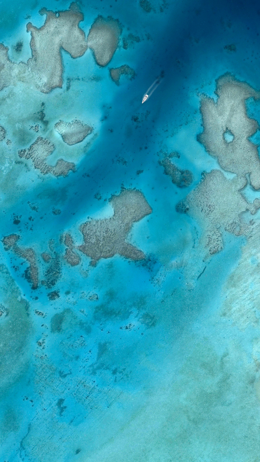 Detail Google Pixel 3 Wallpaper Nomer 6