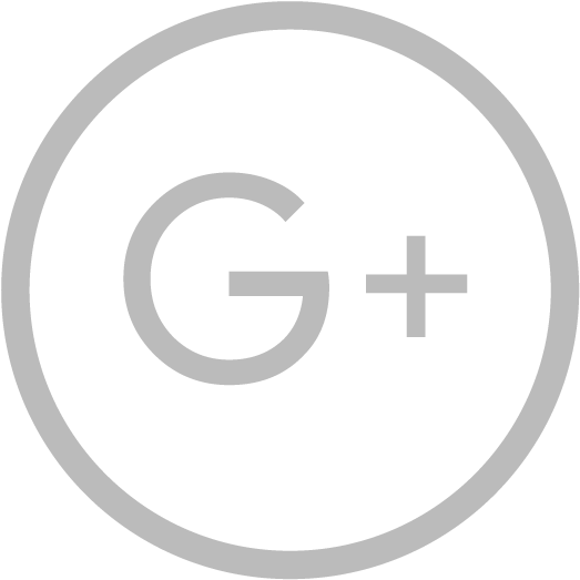 Detail Google Plus Icon Transparent Png Nomer 31