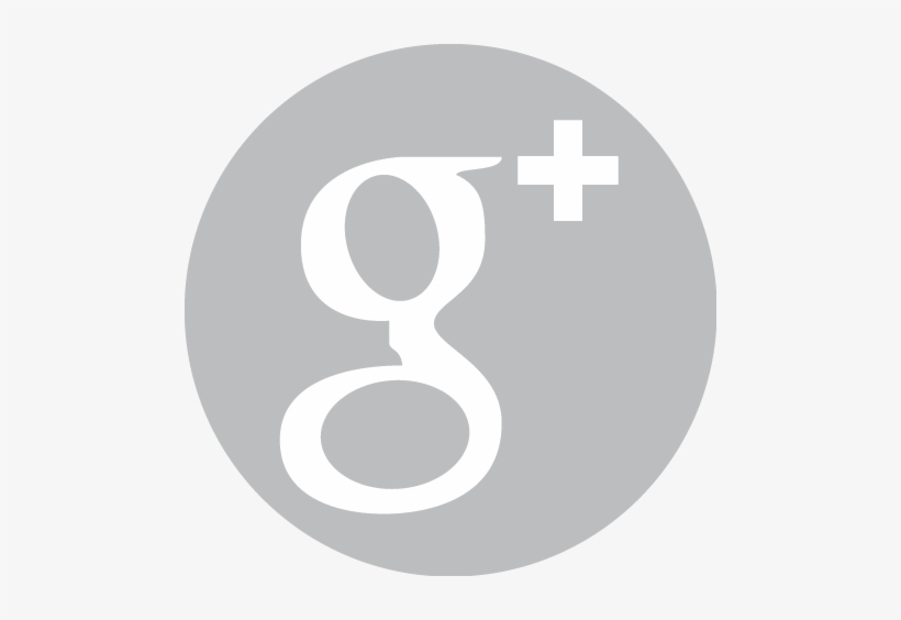 Detail Google Plus Icon Transparent Png Nomer 40
