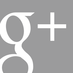 Detail Google Plus Icon Transparent Png Nomer 42
