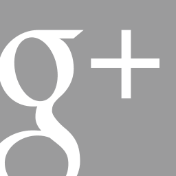 Detail Google Plus Logo Size Nomer 36