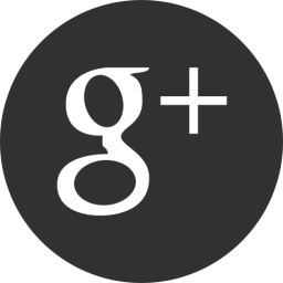 Detail Google Plus Logo Size Nomer 49