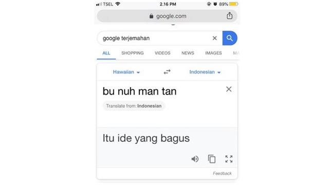 Detail Google Terjemahan Gambar Nomer 4