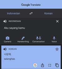 Detail Google Translate Inggris Indonesia Menggunakan Foto Nomer 22