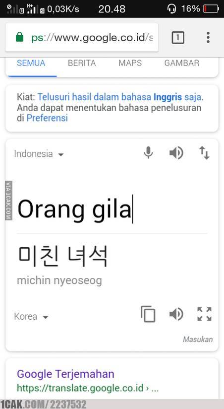 Detail Google Translate Korea Selatan Nomer 17