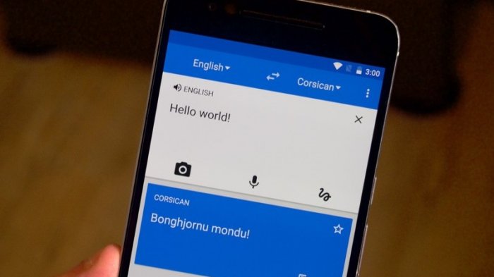 Detail Google Translate Korea Selatan Nomer 32