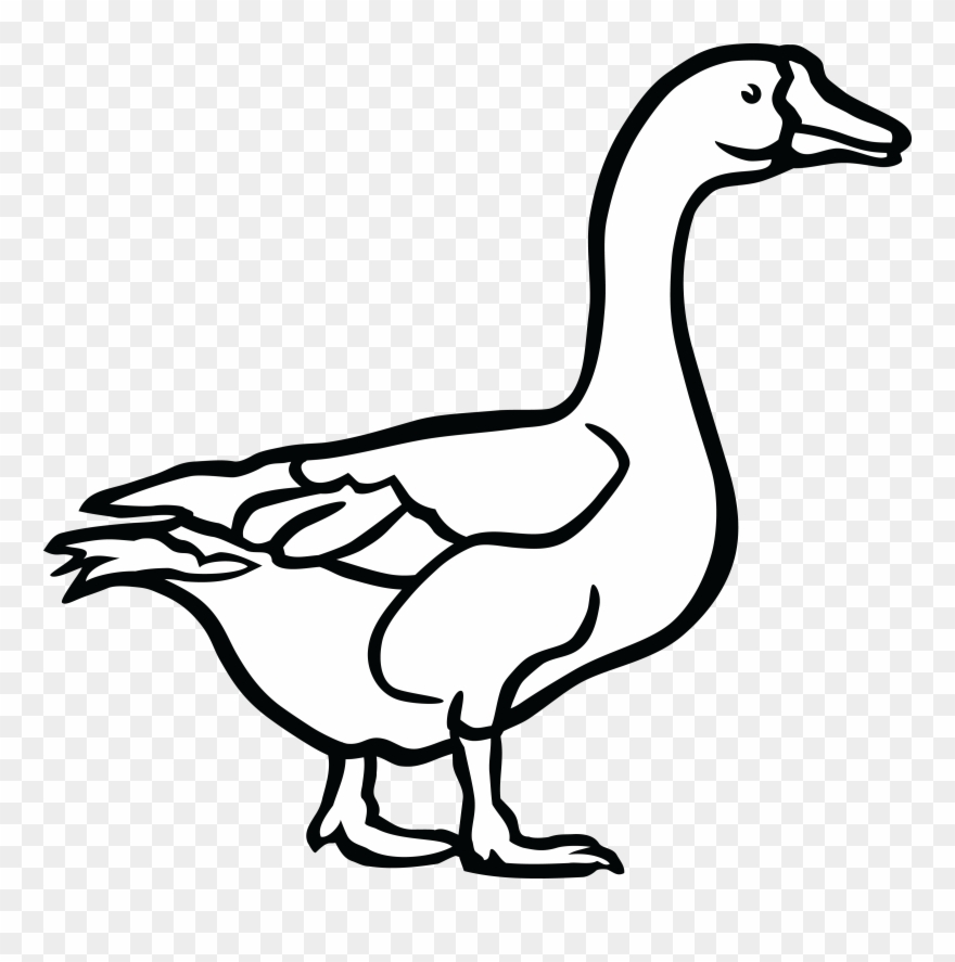 Detail Goose Clipart Black And White Nomer 3