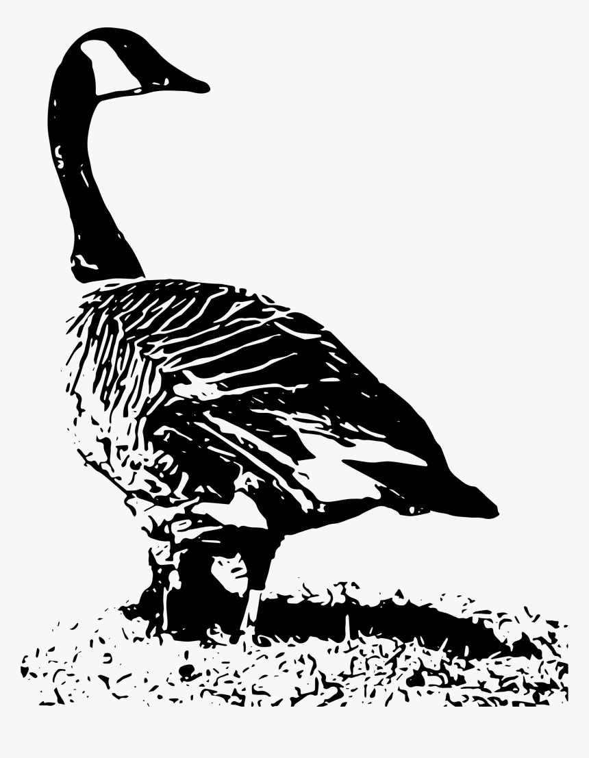 Detail Goose Clipart Black And White Nomer 21