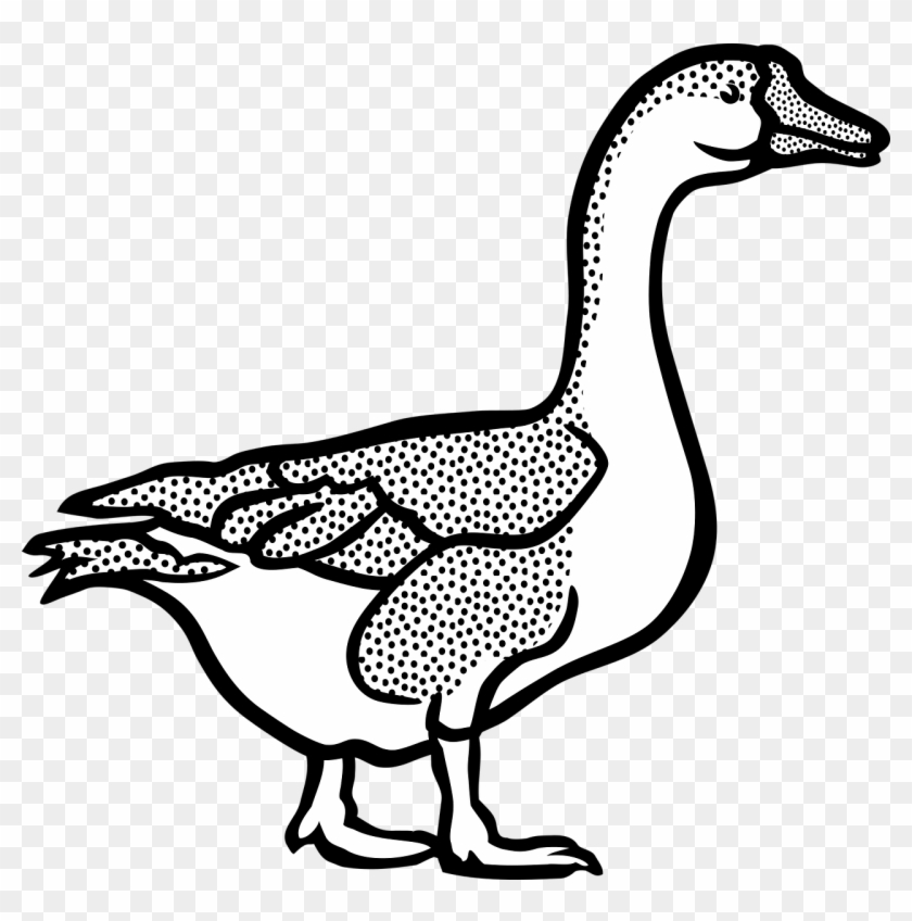 Detail Goose Clipart Black And White Nomer 23