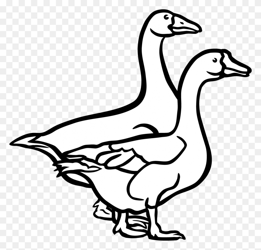 Detail Goose Clipart Black And White Nomer 6