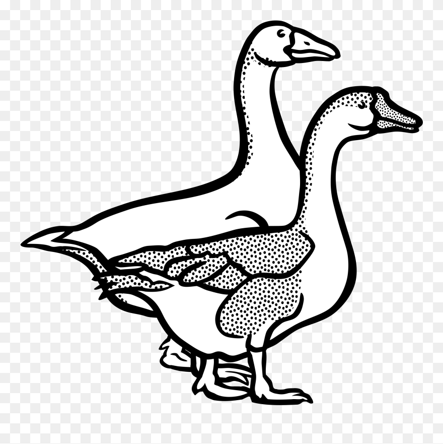 Detail Goose Clipart Black And White Nomer 9