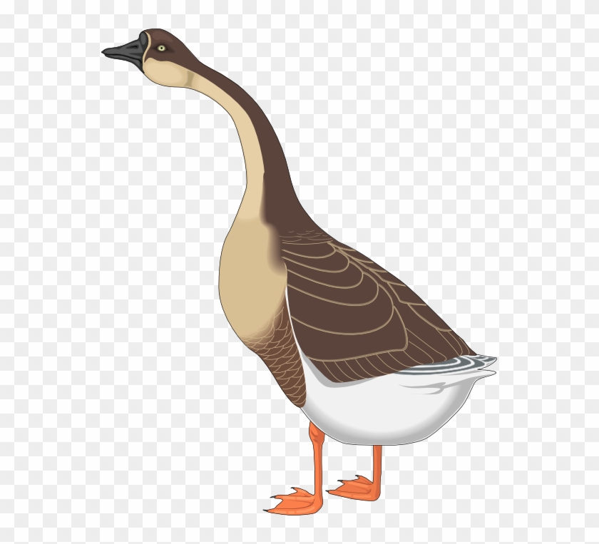 Detail Goose Images Free Nomer 22