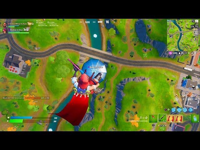 Detail Goose Nest In Fortnite Nomer 42