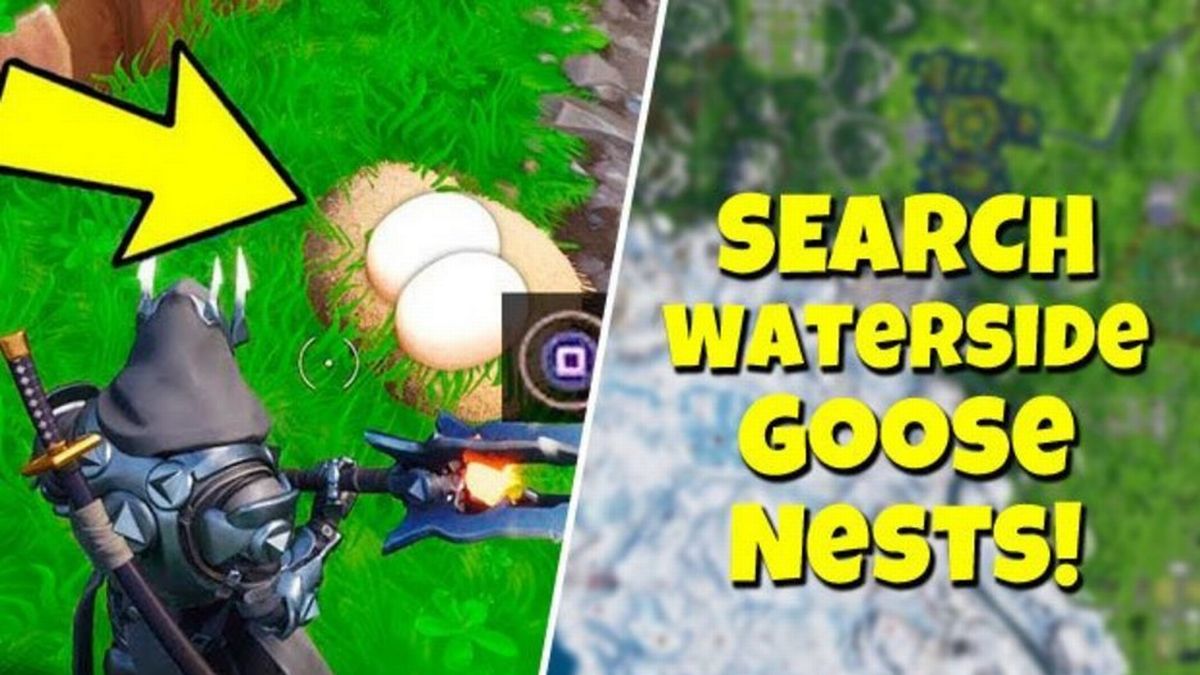 Detail Goose Nests In Fortnite Nomer 22