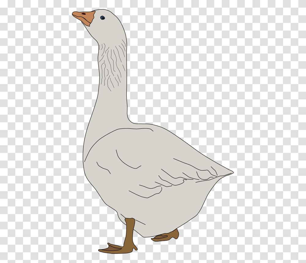 Detail Goose No Background Nomer 28