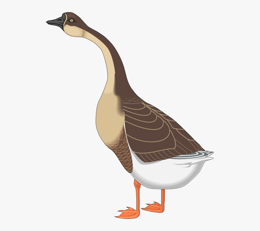 Detail Goose Transparent Nomer 39