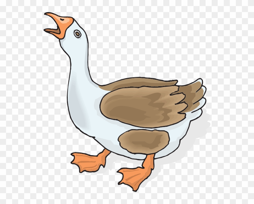 Detail Goose Transparent Nomer 49
