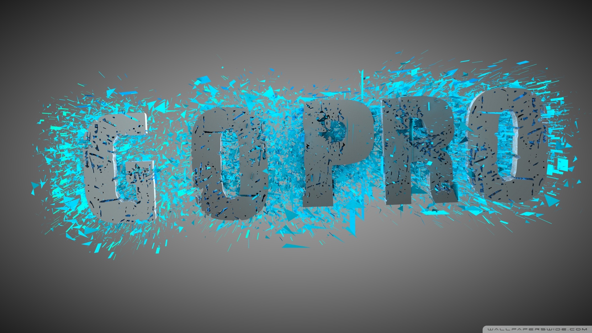 Detail Gopro Logo Hd Nomer 32