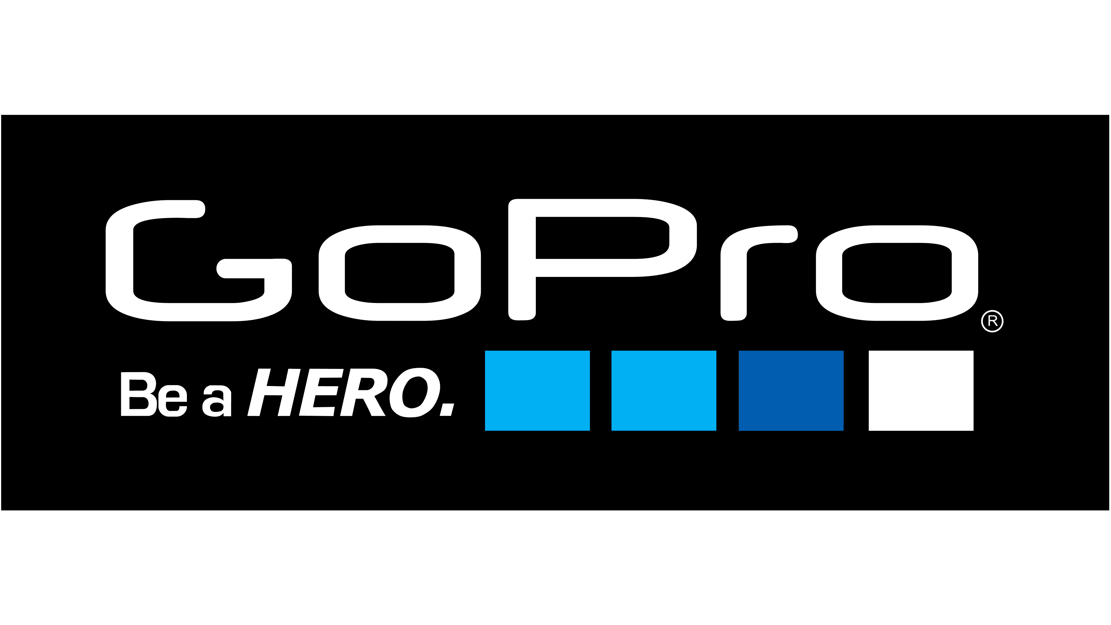 Detail Gopro Logo Png Nomer 4