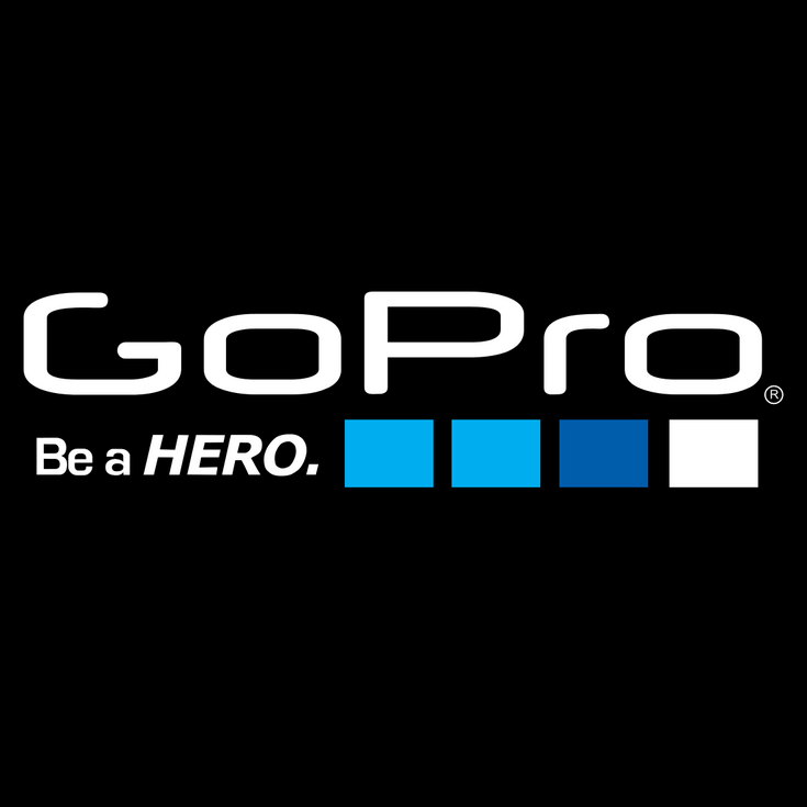 Detail Gopro Logo Png Nomer 51