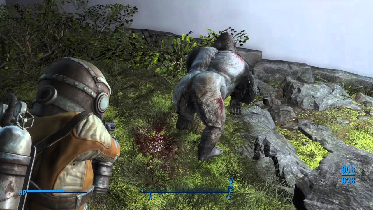 Gorilla Cage Fallout 4 - KibrisPDR