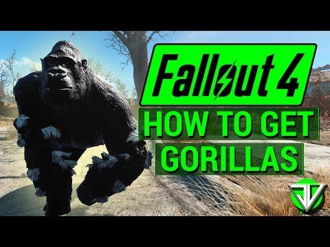 Detail Gorilla Cage Fallout 4 Nomer 11