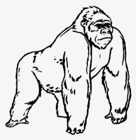 Detail Gorilla Clipart Nomer 29