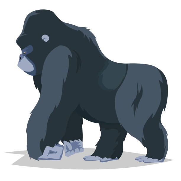 Detail Gorilla Clipart Nomer 36