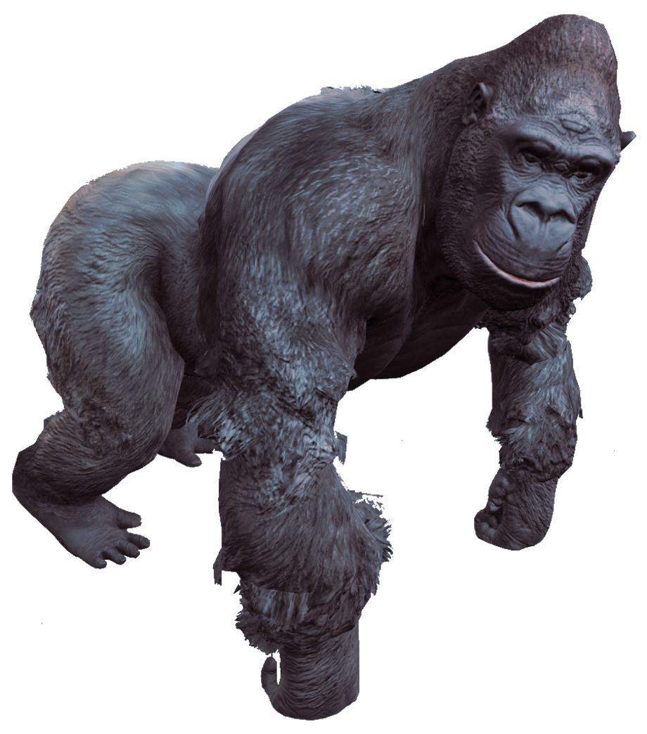 Detail Gorilla No Background Nomer 53