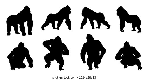 Detail Gorilla Silhouette Png Nomer 12