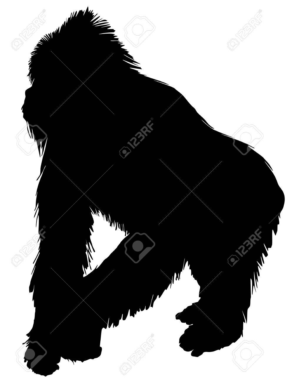 Detail Gorilla Silhouette Png Nomer 39