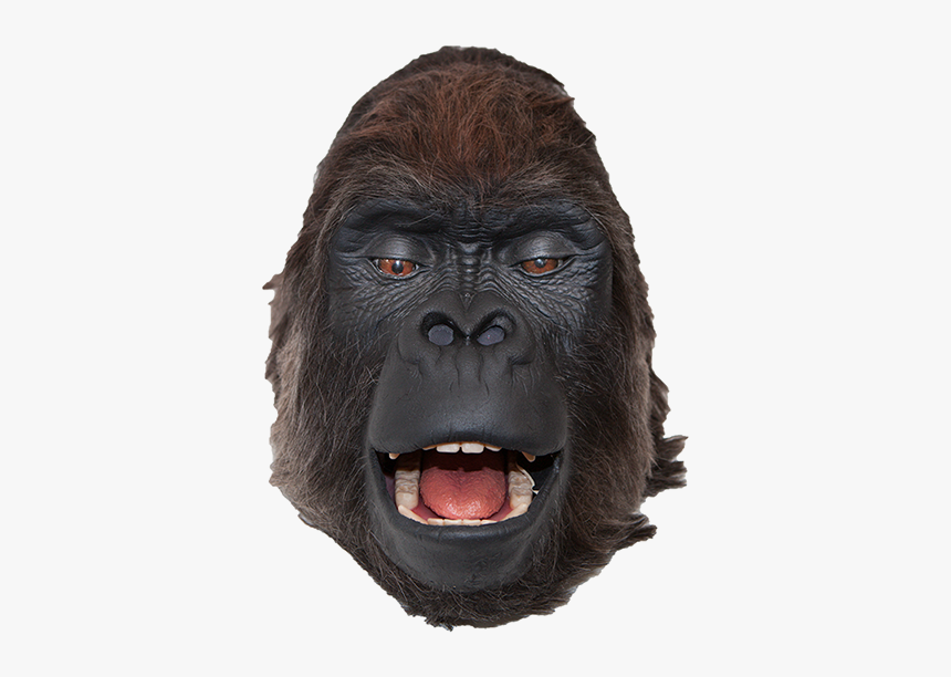 Detail Gorilla Transparent Background Nomer 31