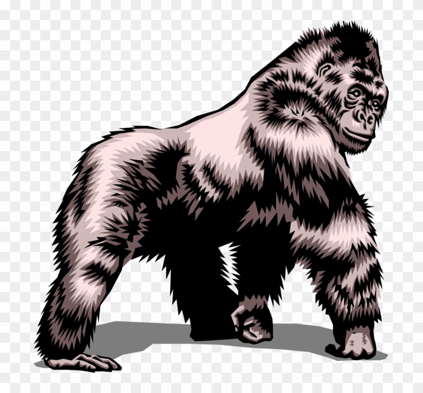 Detail Gorilla Vector Png Nomer 30