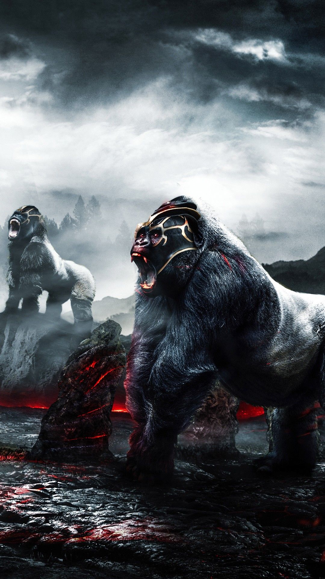 Gorilla Wallpaper Hd - KibrisPDR