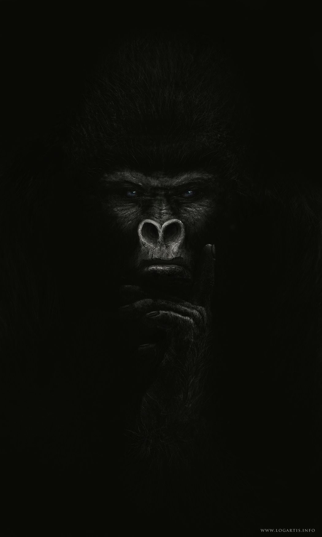 Detail Gorilla Wallpaper Hd Nomer 6