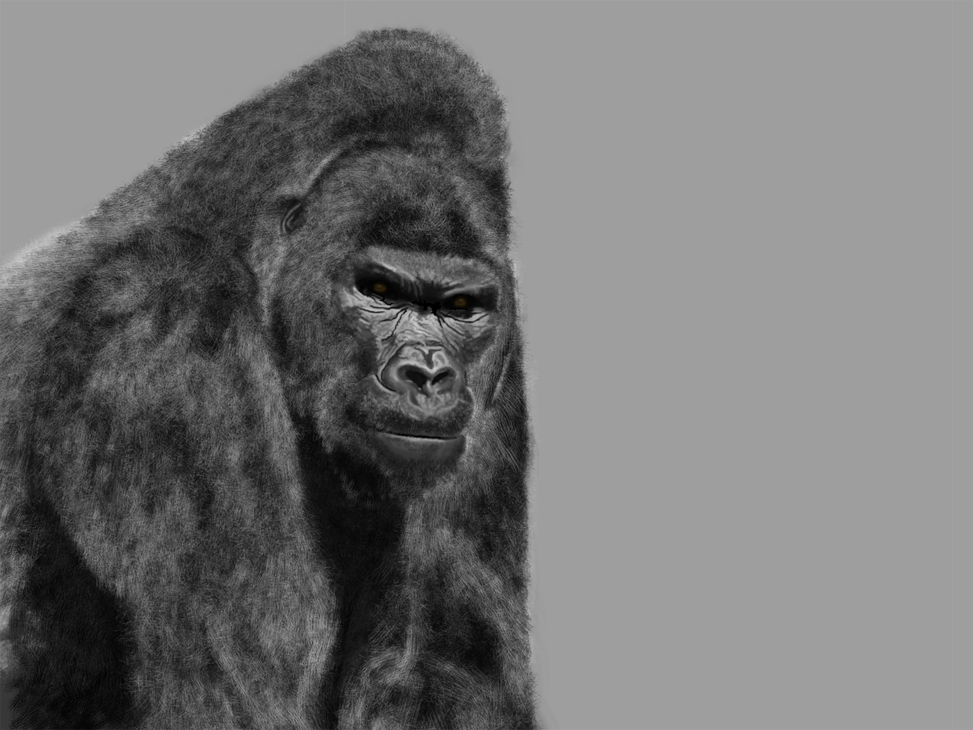 Detail Gorilla Wallpaper Hd Nomer 48