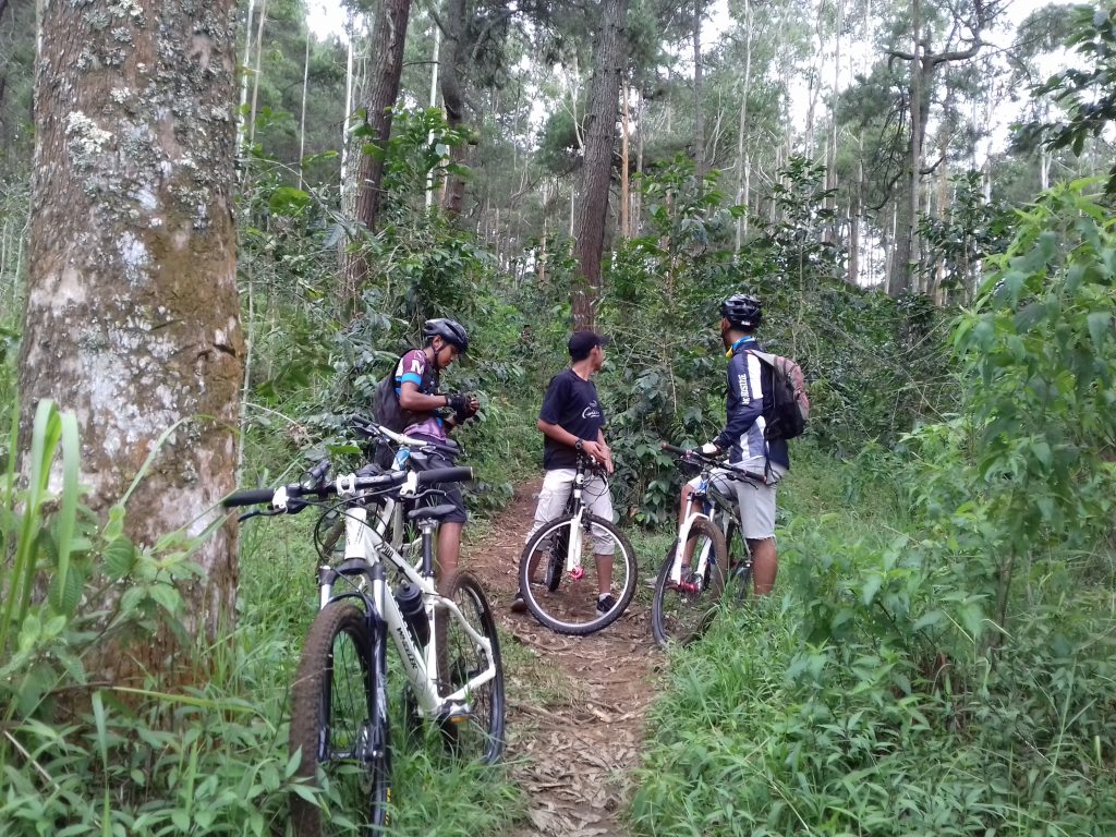 Detail Gowes Sepeda Gunung Nomer 9