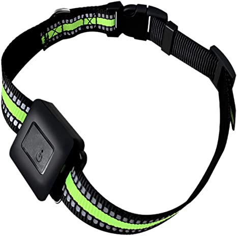 Detail Gps Collar For Cats Amazon Nomer 25