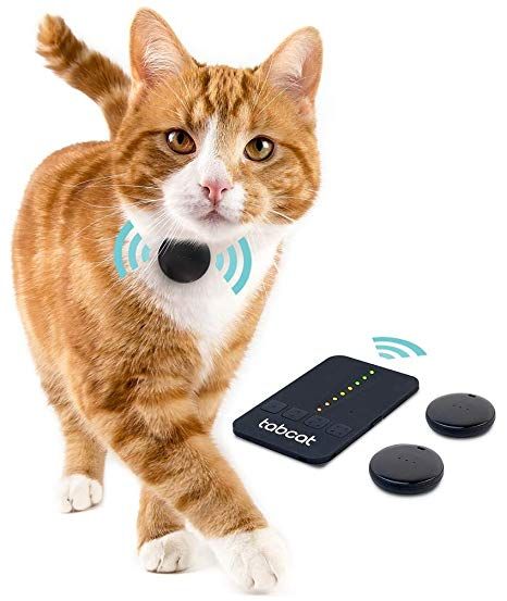 Detail Gps Collar For Cats Amazon Nomer 32