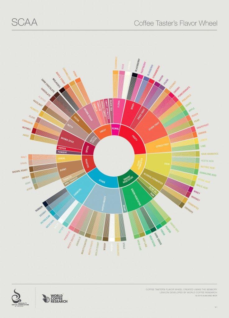Detail Grafik Roasting Kopi Nomer 39