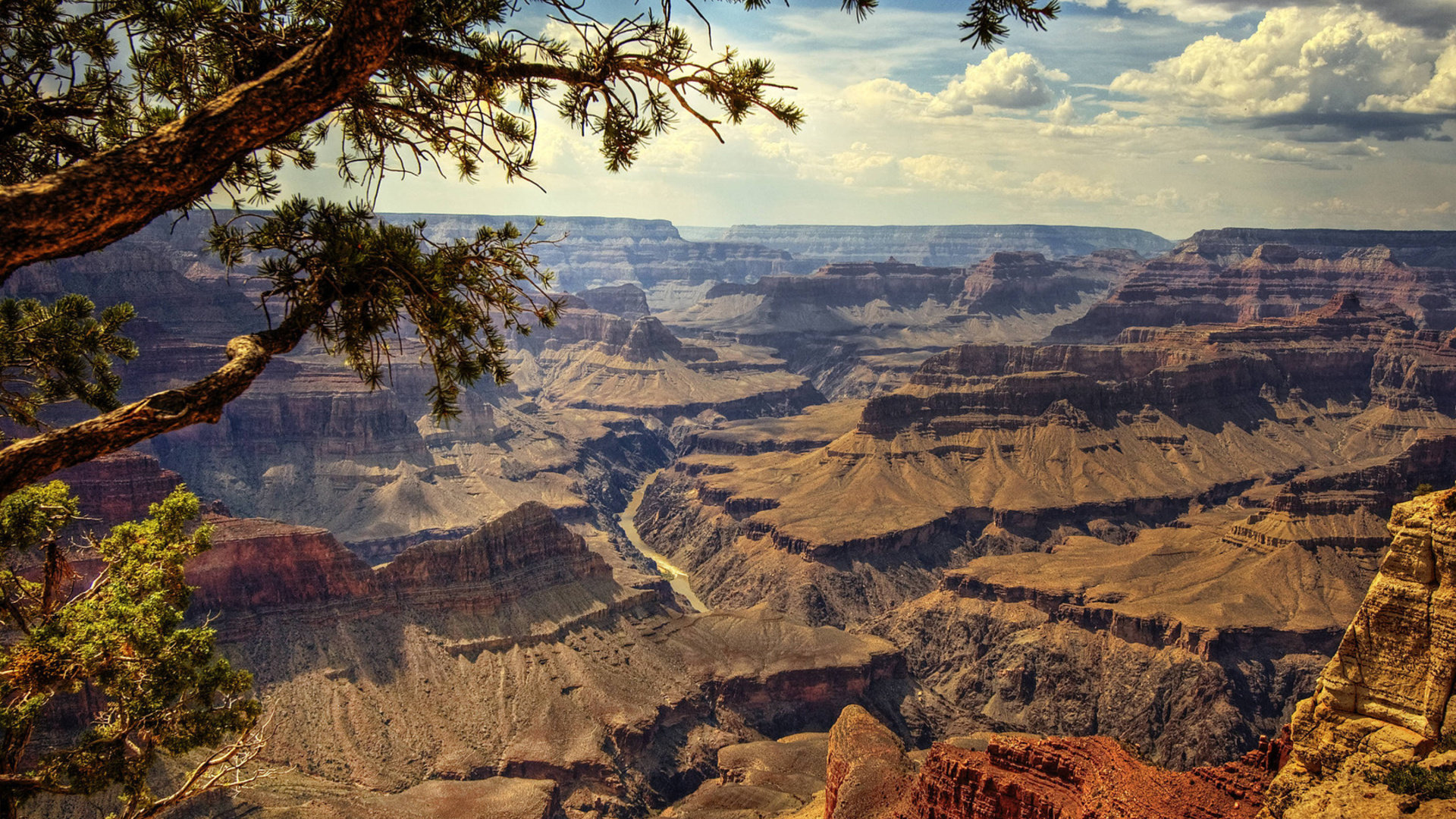 Detail Grand Canyon Wallpaper Nomer 42