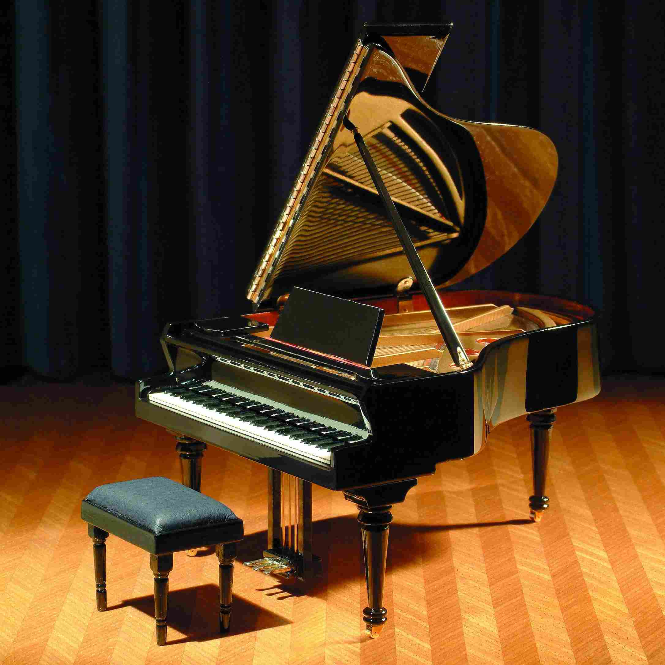 Detail Grand Piano Pic Nomer 16