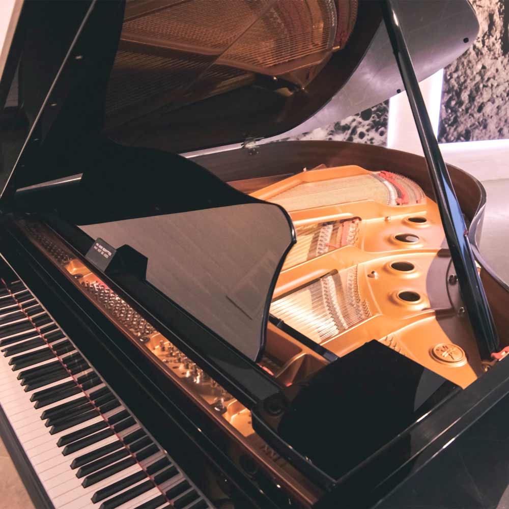 Detail Grand Piano Pic Nomer 31