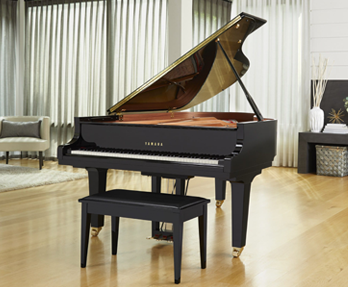 Detail Grand Piano Pic Nomer 35